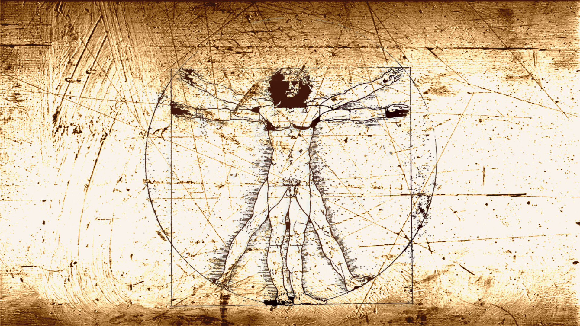 vitruvian man body measurements