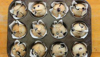 blueberry coconut muffins