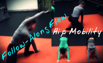 Hip Mobility Flow