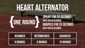 Heart Alternator.jpg
