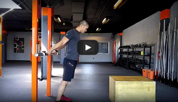 Shoulder Mobility Stretches