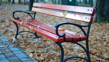 Park Bench Workout