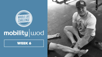 Whole Life Challenge MobilityWOD Homework