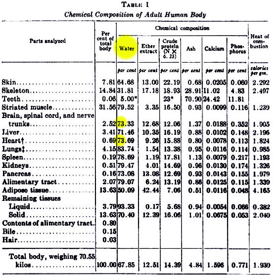 Body Comp Chart