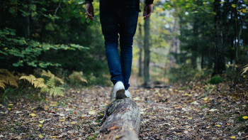 Back Pain, Balance, and the Karate Kid