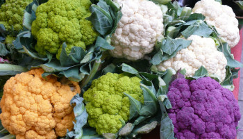 The World’s Easiest Roasted Whole Cauliflower or Broccoli