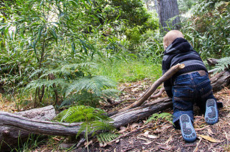 How to Get Fit with Fun and Functional Animal-Inspired Exercise