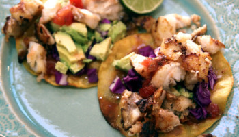 Fish Tacos for People Who Love Fish Tacos