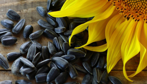 Chipotle Sunflower Seed Dip