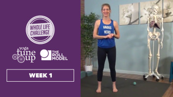 Jill Miller Follow Along Mobility Practice: Week 1