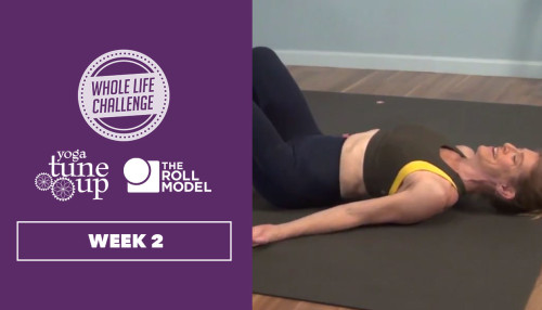 Jill Miller Follow Along Mobility Practice: Week 2