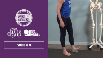 Jill Miller Follow Along Mobility Practice: Week 3