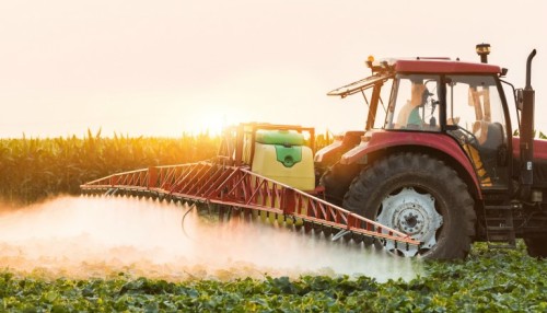 What You Need to Know Before You Eat Any More Soy