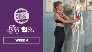 Jill Miller Follow Along Mobility Practice: Week 4