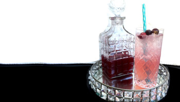 Cranberry Shrub Gin Spritzer