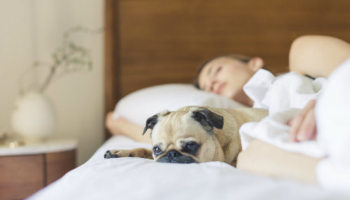 How to Be Mentally Healthy While You’re Sick