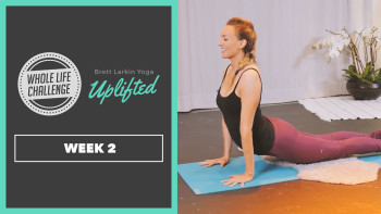 Beginner Vinyasa Flow Yoga Follow-Along with Brett Larkin