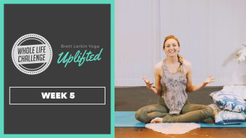 Beginner Restorative Yoga Follow-Along with Brett Larkin