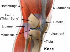 What You Need to Know About Knee Pain and Your Patellar Tendon