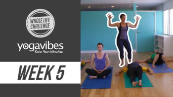 Restorative Heart Opening: YogaVibes Mobility Week 5