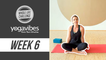 Myofascial Release for the Posterior Chain: YogaVibes Mobility Week 6